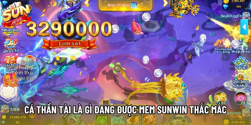 Cá thần tài là gì đang được người chơi Sunwin thắc mắc