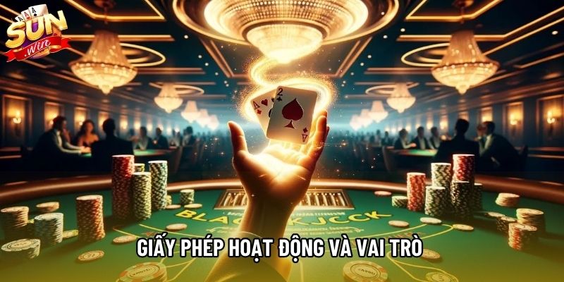 Giấy phép hoạt động và vai trò trong môi trường trực tuyến
